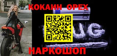 шишки Кандалакша