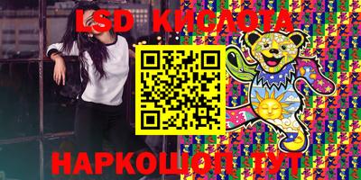 шишки Кандалакша