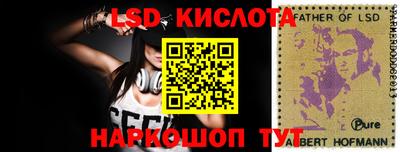 шишки Кандалакша