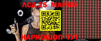 шишки Кандалакша
