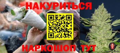 шишки Кандалакша