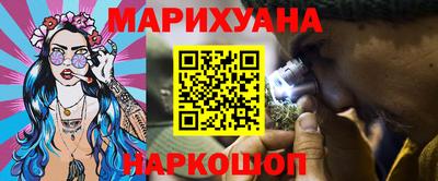шишки Кандалакша