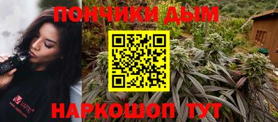 шишки Кандалакша