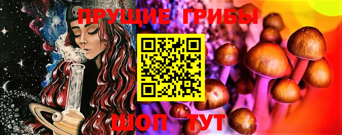 Екатеринбург  цены наркотик  Псилоцибиновые грибы мухоморы  Вход с VPN  Галлюциногенные грибы Magic Shrooms 